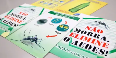 Imagem ilustrativa da imagem Adolescente e outras três pessoas morrem por dengue em Londrina