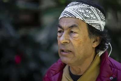 Ailton Krenak: a disputa pela cadeira na ABL envolve um inusual conflito público com Daniel Munduruku, escritor que também participa do elenco da novela "Terra e Paixão"