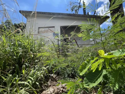 Imagem ilustrativa da imagem Antigas casas da aeronáutica são tomadas pelo mato e viram mocó