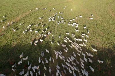 Enquanto as emissões geradas pelo desmatamento caíram, a quantidade de gases do efeito estufa despejada pela agropecuária cresceu