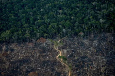 -- AFP PICTURES OF THE YEAR 2021 --

Aerial view show a deforested area of Amazonia rainforest in Labrea, Amazonas state, Brazil, on September 15, 2021. - The Amazon basin has, until recently, absorbed large amounts of humankind's ballooning carbon emissions, helping stave off the nightmare of unchecked climate change. But studies indicate the rainforest is hurtling toward a "tipping point," at which it will dry up and turn to savannah, its 390 billion trees dying off en masse. Already, the destruction is quickening, especially since far-right President Jair Bolsonaro took office in 2019 in Brazil -- home to 60 percent of the Amazon -- with a push to open protected lands to agribusiness and mining. (Photo by MAURO PIMENTEL / AFP) / AFP PICTURES OF THE YEAR 2021