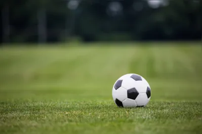 Imagem ilustrativa da imagem Carnaval e futebol