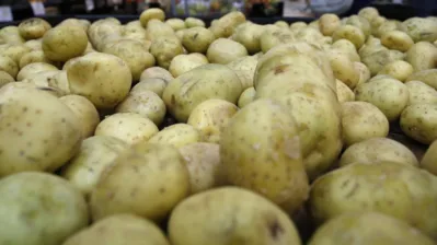 A batata foi o item que registrou a maior alta percentual em dezembro, de quase 60% em relação ao mês anterior