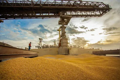 As exportações de milho pelo Paraná em 2023 atraíram mais de R$ 5,7 bilhões para a balança comercial do Estado