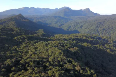 O órgão ambiental promoveu 10 grandes operações de fiscalização contra o desmatamento no ano passado, em diferentes regiões do Estado