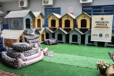 Imagem ilustrativa da imagem Detentos de Cascavel confeccionam casinhas para cães resgatados das ruas