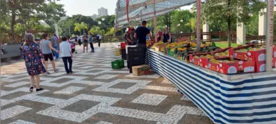 Imagem ilustrativa da imagem Feira comunitária anima moradores da região da Gleba Palhano