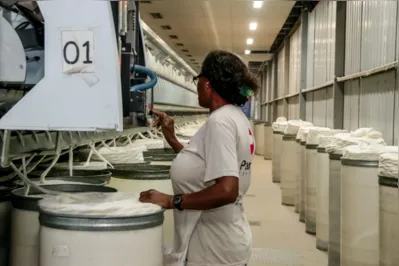 Imagem ilustrativa da imagem Feira em Apucarana irá ofertar vagas de emprego para 50+