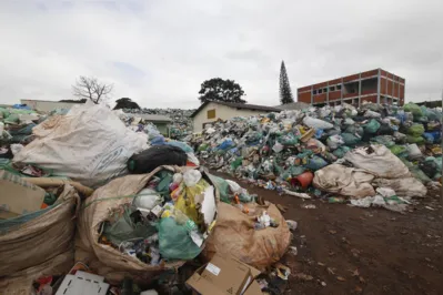 Segundo o estudo, sabia-se que a reciclagem do plástico não era tecnicamente nem economicamente viável diante a escala do problema ambiental