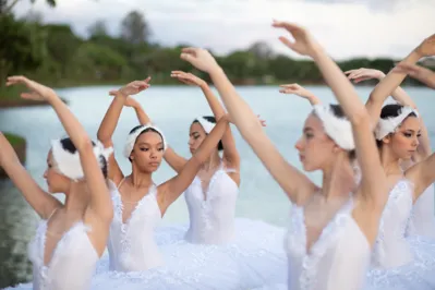 Imagem ilustrativa da imagem Ingressos para o balé "O Lago dos Cisnes" estão esgotados