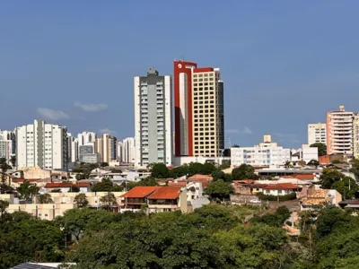 Imagem ilustrativa da imagem Londrina cresce cadenciada em solo musical