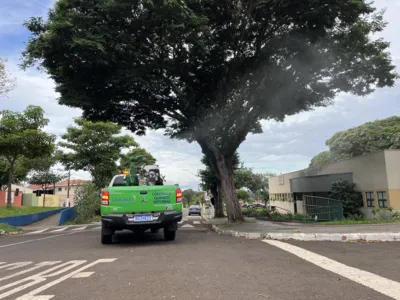 Imagem ilustrativa da imagem Londrina registra mais duas mortes por dengue neste ano