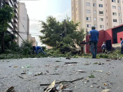 Imagem ilustrativa da imagem Londrina tem dia de contabilização de prejuízos e reparos após vendaval
