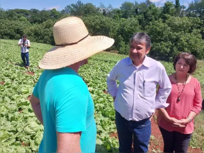 Dias esteve no Assentamento Dorcelina Folador, em Arapongas; ele ainda visita cozinha comunitária na região norte de Londrina