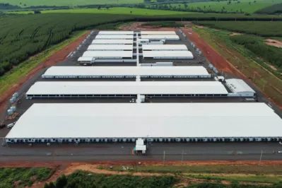 Núcleo Genético Gênesis, em Paranavaí, o maior da América Latina, tem 70 mil m² de área construída