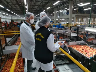 Hoje, o Brasil conta com 2,3 mil auditores agropecuários para auditar e fiscalizar portos, aeroportos, zonas de fronteira, plantas de frigoríficos, agroindústrias, campos de produção, a saúde e bem-estar animal, além de realizar análises fiscais em laboratórios e abrir mercados