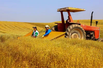 Na agropecuária, houve aumento de 36% na produção de cereais, leguminosas e oleaginosas em comparação a 2022
