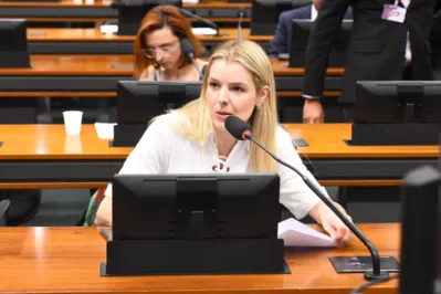 Deputada federal Luísa Canziani (PSD-PR) é a relatora do GT-Escolas na Câmara