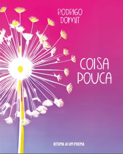 Imagem ilustrativa da imagem Rodrigo Domit lança livro na 42ª Semana Literária do Sesc-PR