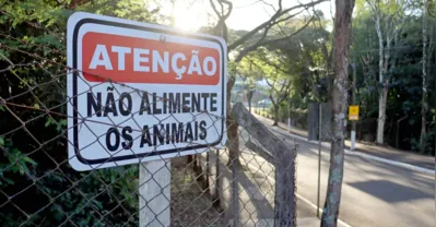 Imagem ilustrativa da imagem Sema de Londrina orienta população a não alimentar animais silvestres