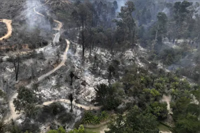 Imagem ilustrativa da imagem Sobe para 64 total de mortos por incêndios no Chile