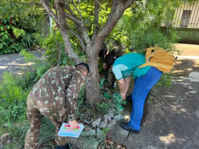 Imagem ilustrativa da imagem Soldados ajudam no combate à dengue em Apucarana
