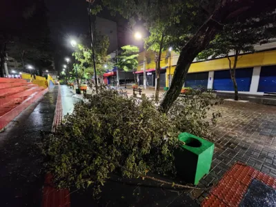 Imagem ilustrativa da imagem Temporal  causa estragos em várias regiões de Londrina