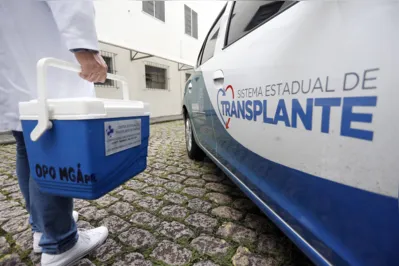 O documento indica alta expressiva nos transplantes de córnea e de medula óssea, ultrapassando inclusive os registros de 2019