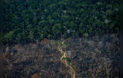 Imagem ilustrativa da imagem COP28 – Agronegócio brasileiro produzirá mais alimento sem derrubar florestas