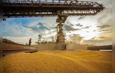 Imagem ilustrativa da imagem Com 4,7 milhões de toneladas, PR bate recorde na exportação de milho