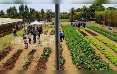 Imagem ilustrativa da imagem Dia de Campo ajuda a impulsionar produção orgânica no Paraná