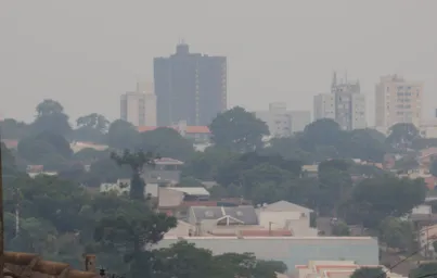 Imagem ilustrativa da imagem Fumaça encobre municípios de diversas regiões do Paraná