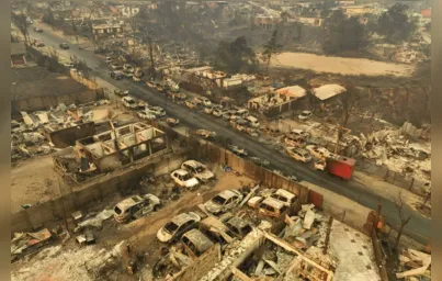 Imagem ilustrativa da imagem Incêndios se espalham pelo Chile e matam pelo menos 50 pessoas