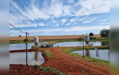 Imagem ilustrativa da imagem Líder em produção de peixe, Paraná quer crescer ainda mais no setor
