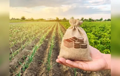 Imagem ilustrativa da imagem Ministério da Agricultura prepara plano de ajuda ao setor agrícola