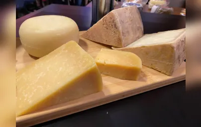 Imagem ilustrativa da imagem O delicioso universo dos queijos mineiros
