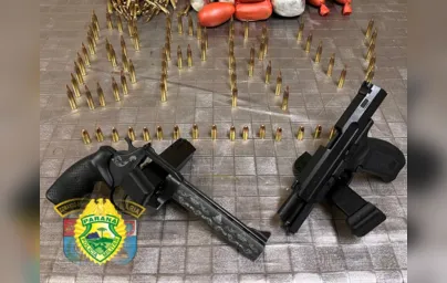 Imagem ilustrativa da imagem PRE apreende armas e munições de fuzil em Rolândia
