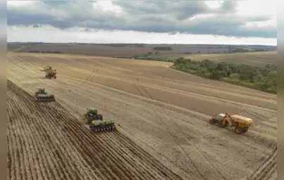 Imagem ilustrativa da imagem Paraná inicia plantio da segunda safra de milho