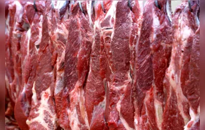 Imagem ilustrativa da imagem Paraná recebe autorização para exportar carne bovina ao Canadá