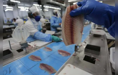Imagem ilustrativa da imagem Produção de peixes cresceu 20% em Nova Aurora