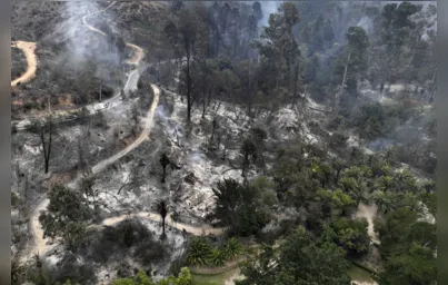Imagem ilustrativa da imagem Sobe para 64 total de mortos por incêndios no Chile
