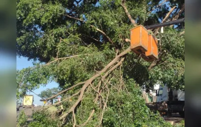 Imagem ilustrativa da imagem Temporal derruba árvores e deixa londrinenses sem energia
