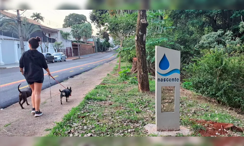 Imagem ilustrativa da imagem Nascentes e ribeirões de Londrina recebem sinalização