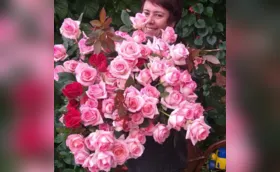 Imagem ilustrativa da imagem Araruna e Marialva produzem mais de 70% das rosas no PR