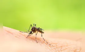 Londrina contabiliza 40 mortes por dengue neste ano