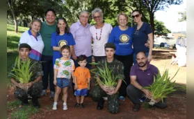 Plantando orquídeas