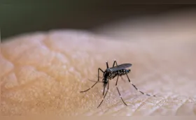 Londrina tem mais quatro mortes por dengue