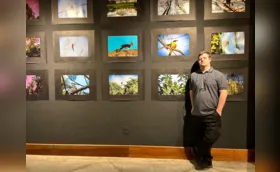 Simplicidade e natureza inspiram exposição artística em Londrina