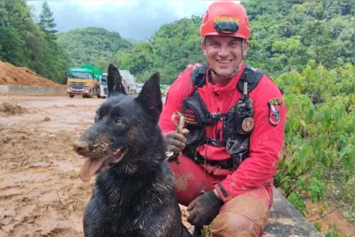 Imagem ilustrativa da imagem Cães dos bombeiros do Paraná vão participar das buscas no RS