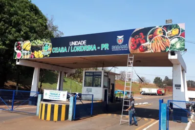 Imagem ilustrativa da imagem Ceasa de Londrina abrirá na próxima quarta-feira, 1º de maio